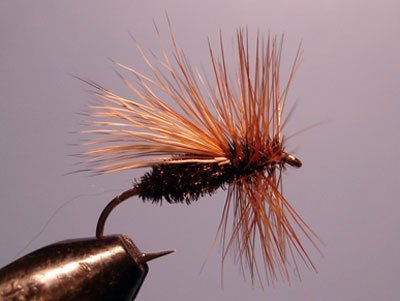 Мушка T&CS Peacock-Caddis (сух)  8 Россия фото